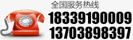 0391-3126120 13103990208